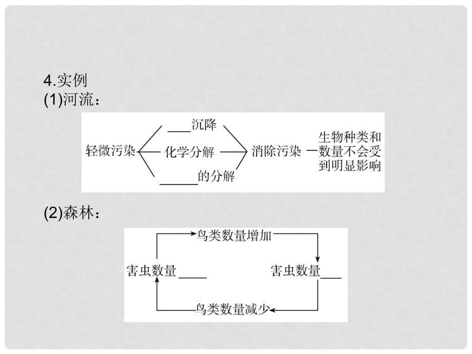 高中生物 第五章 生态系统及其稳定性 第5节 生态系统的稳定性课件 新人教版必修3_第5页