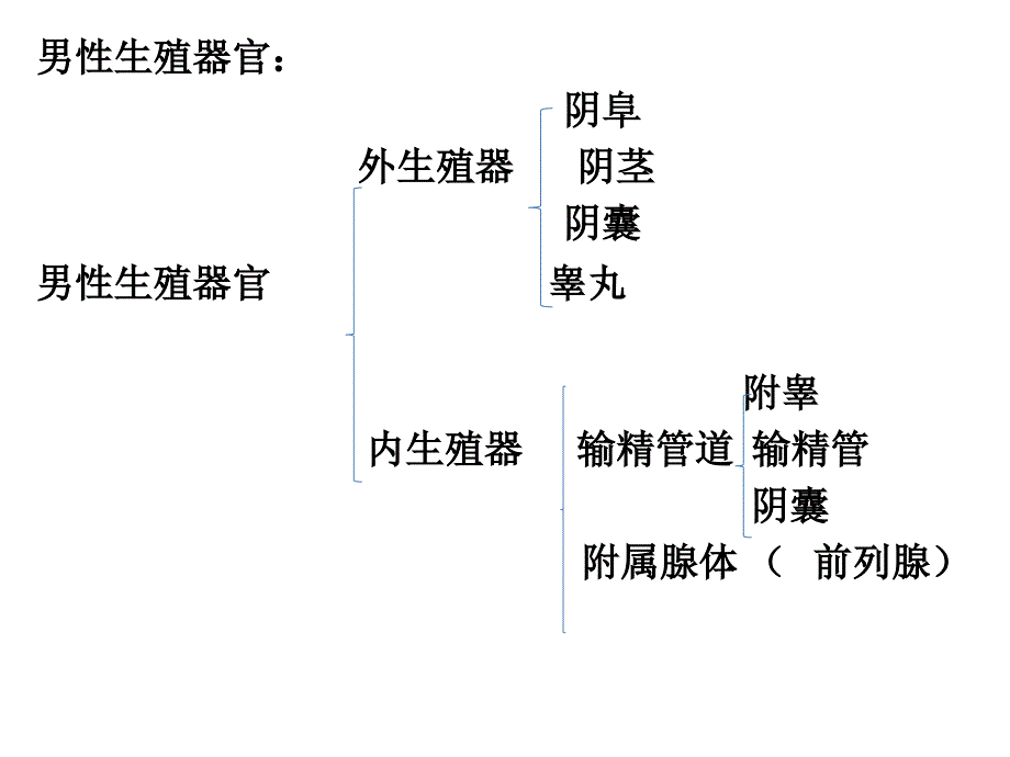 青期生理卫生通用课件_第3页