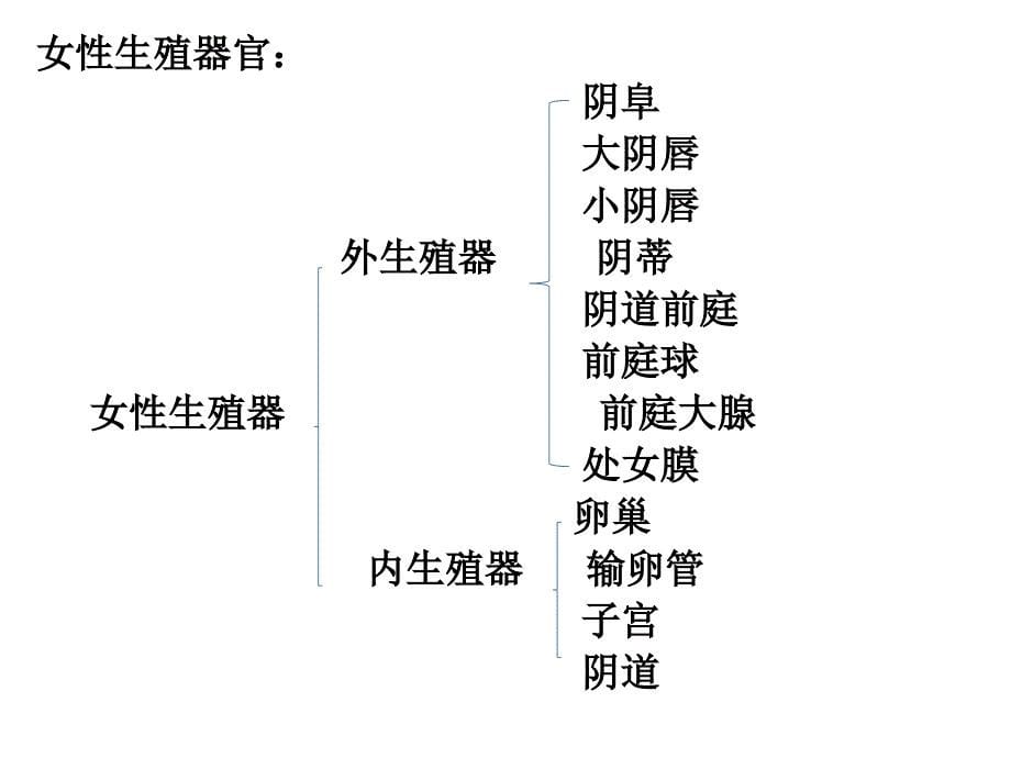 青期生理卫生通用课件_第5页