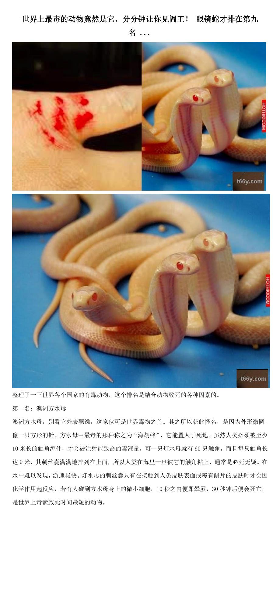 世界上最毒的动物竟然是它,分分钟让你见阎王! 眼镜蛇才排在第九名 ..._第1页