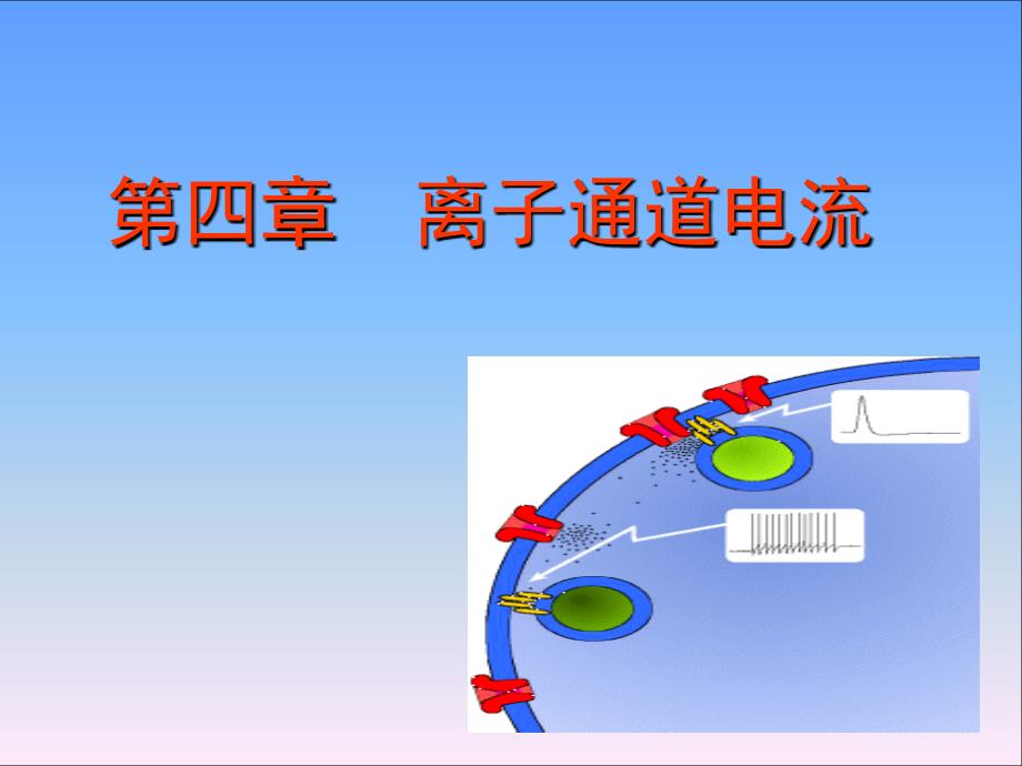 第四章离子通道电流_第1页