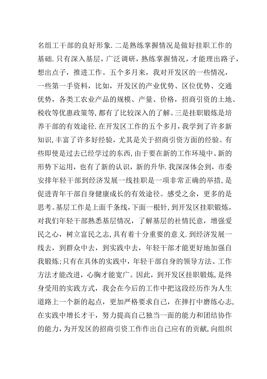 挂职个人工作总结.docx_第4页