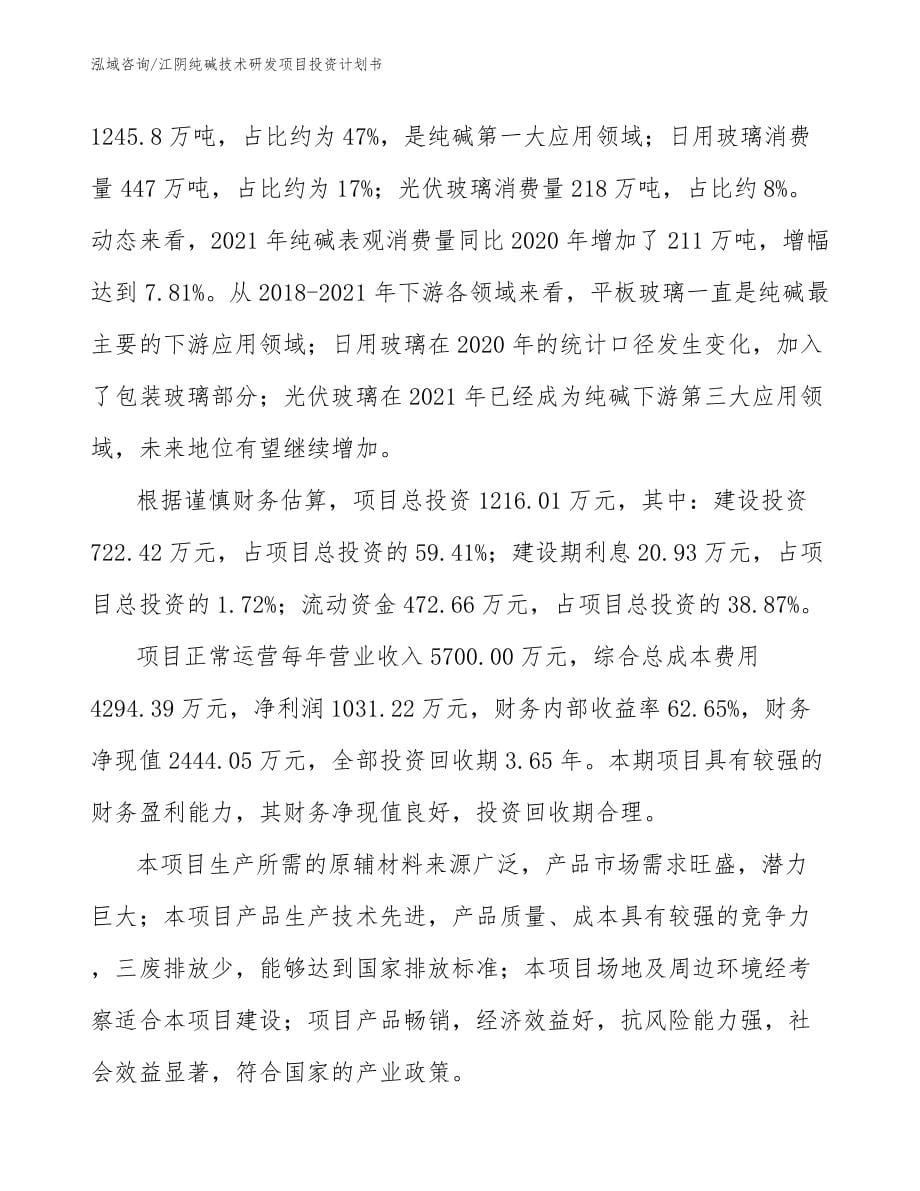 江阴纯碱技术研发项目投资计划书（范文）_第5页