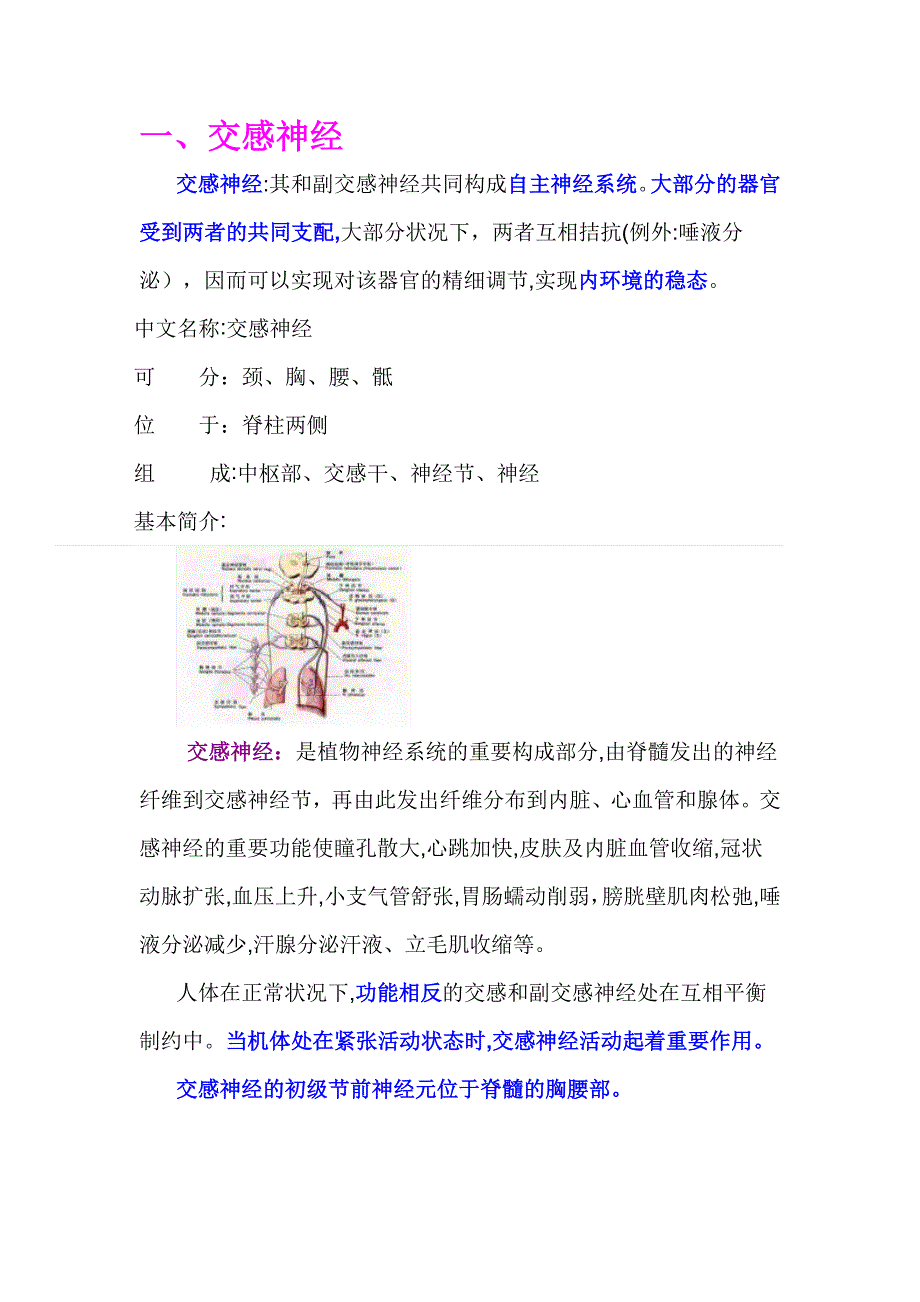 交感神经与副交感神经_第1页