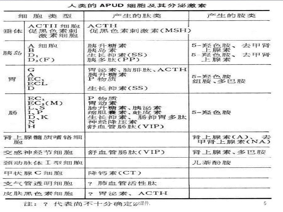 APUD细胞及APUD细胞瘤ppt课件_第5页