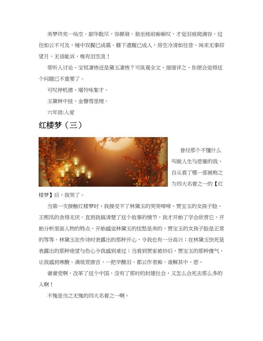 红楼梦(共10篇).docx_第5页