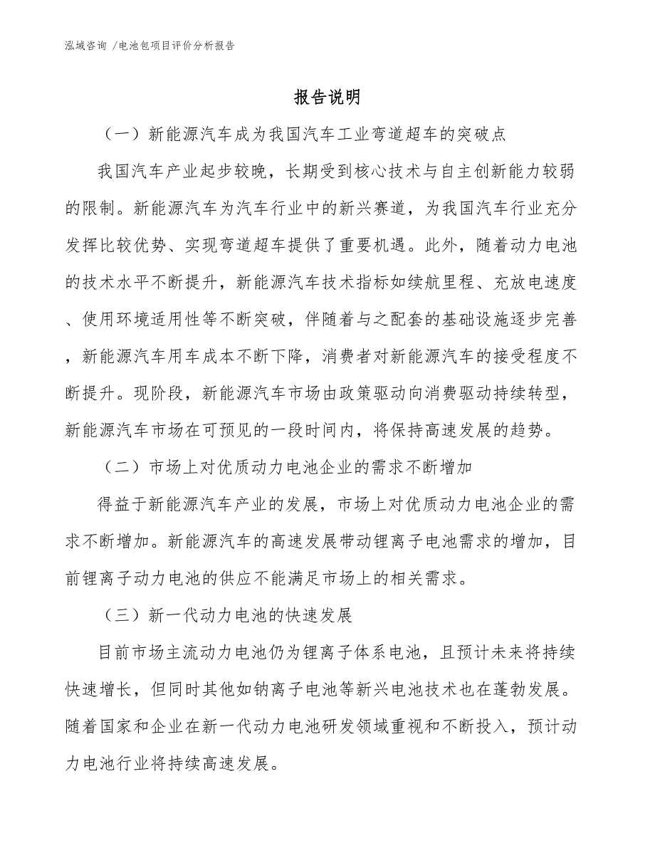 电池包项目评价分析报告（参考模板）_第2页