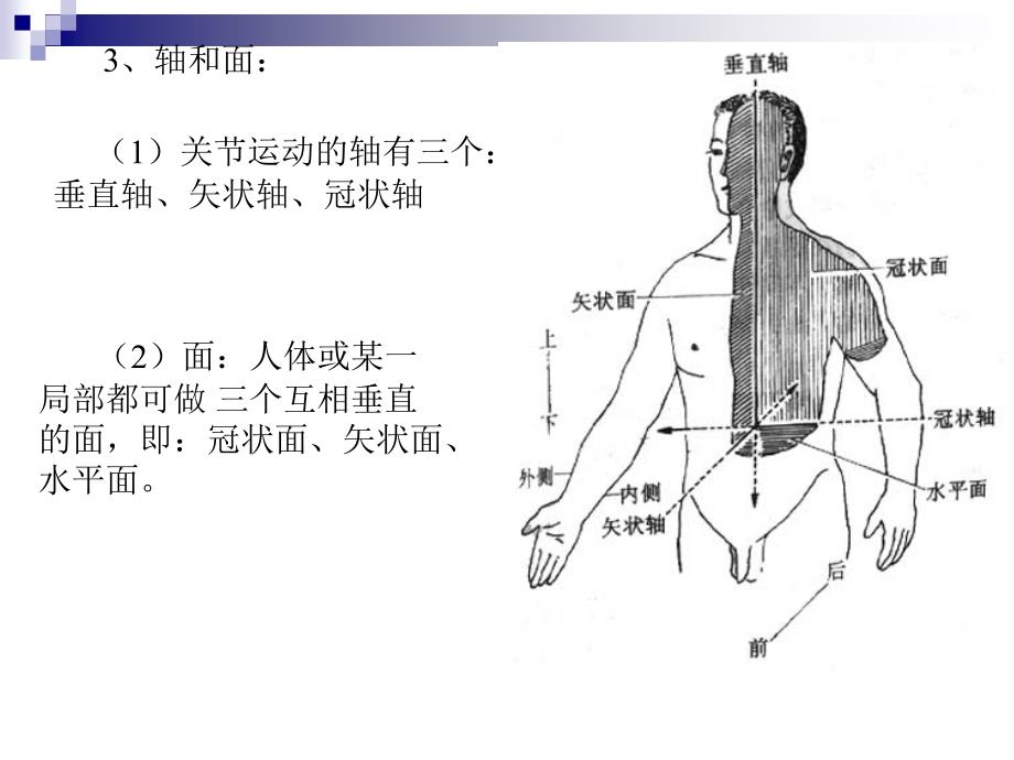 山东英才学院医学院基础医学教研室_第4页