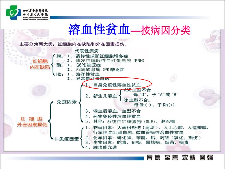 自身免疫性溶血性贫血的诊断与治疗ppt课件_第4页