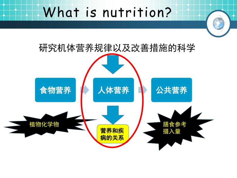 营养学研究方法完整版（健康保健）_第2页