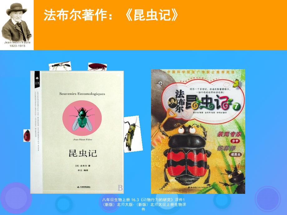 最新八年级生物上册16.3动物行为的研究1_第3页