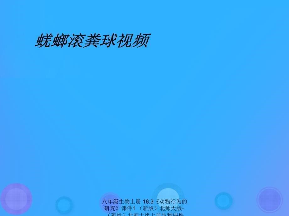 最新八年级生物上册16.3动物行为的研究1_第5页