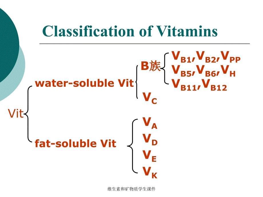 维生素和矿物质学生课件_第5页