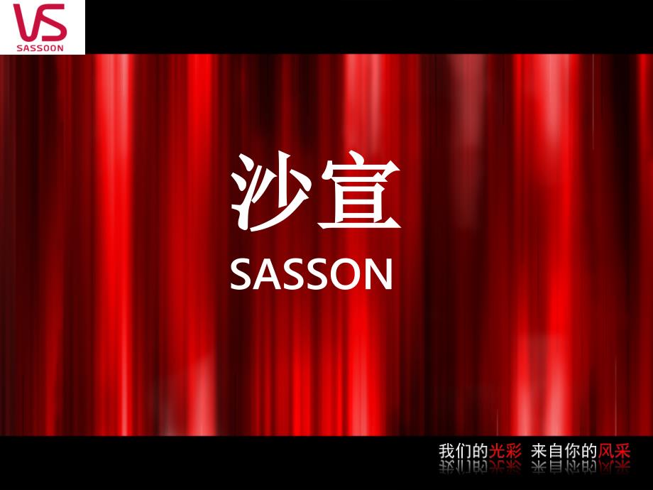 VS沙宣 课题调研【优选资料】_第1页