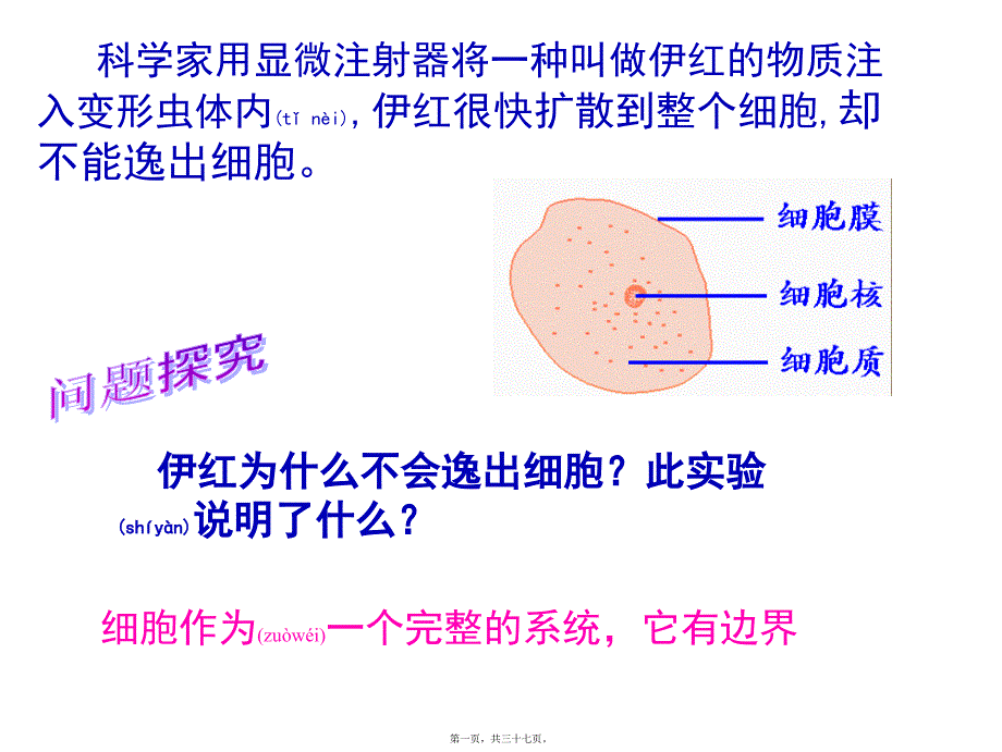 医学专题—细胞膜公开课版本28245_第1页