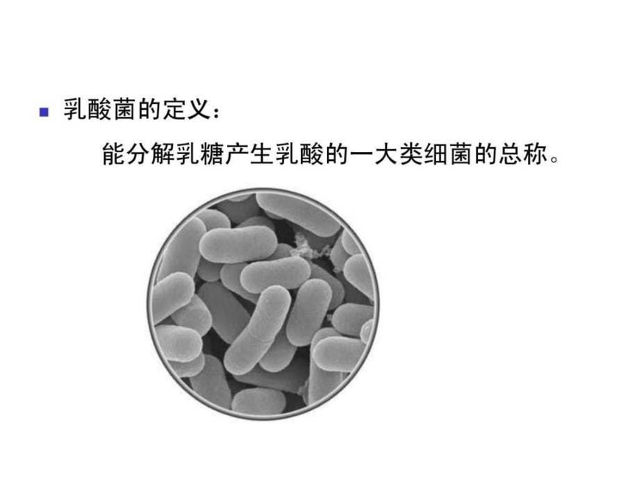 发酵乳制品生技术_第5页