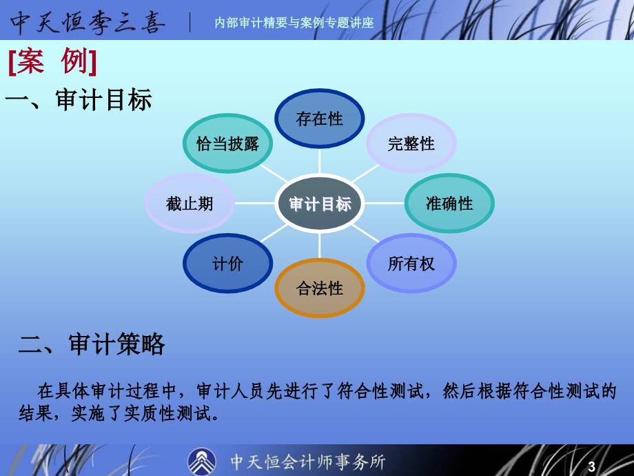 内部审计内部审计精要与案例专题讲座80页_第3页