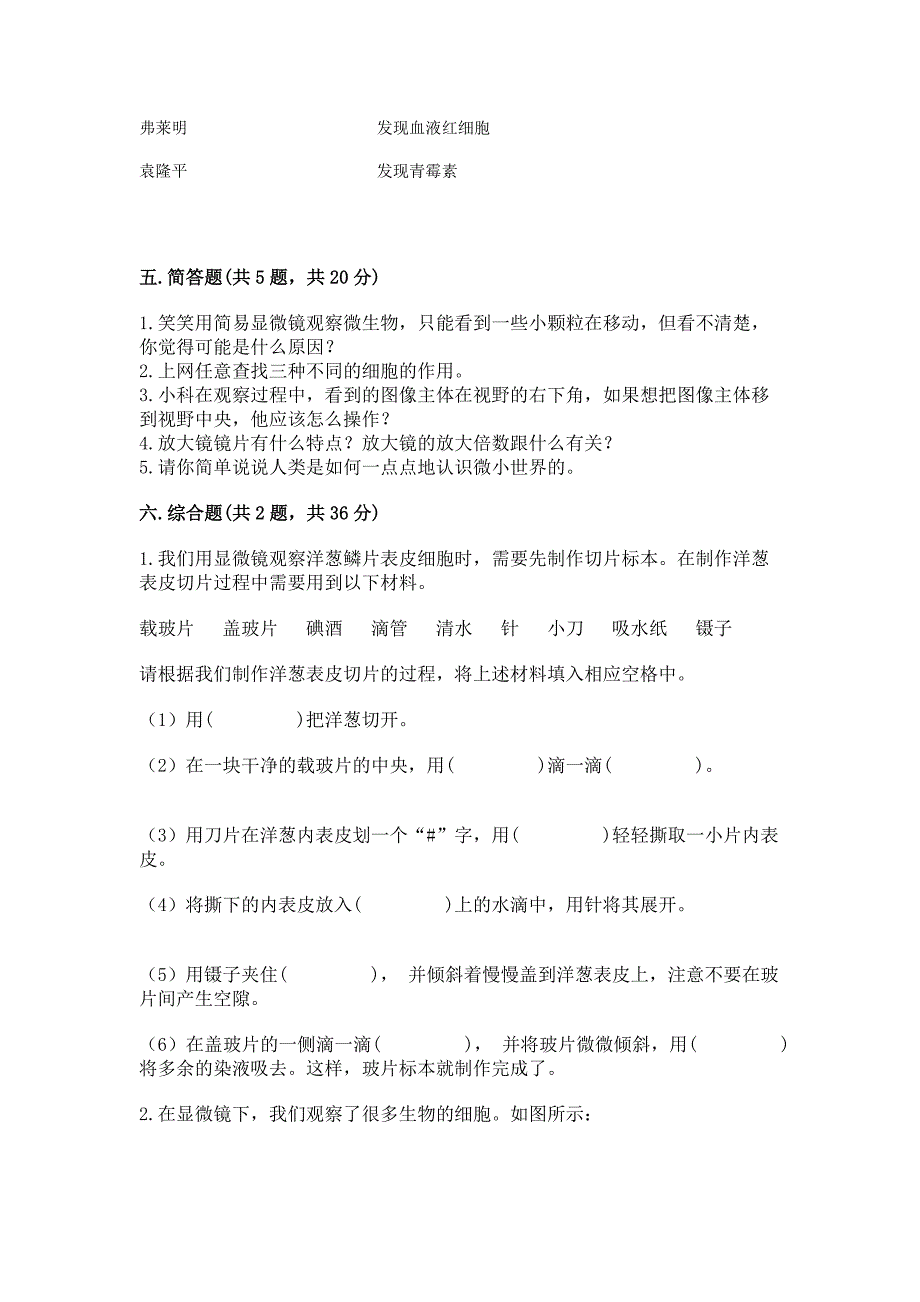 教科版科学一年级上册第二单元《比较与测量》测试卷带答案(实用).docx_第3页