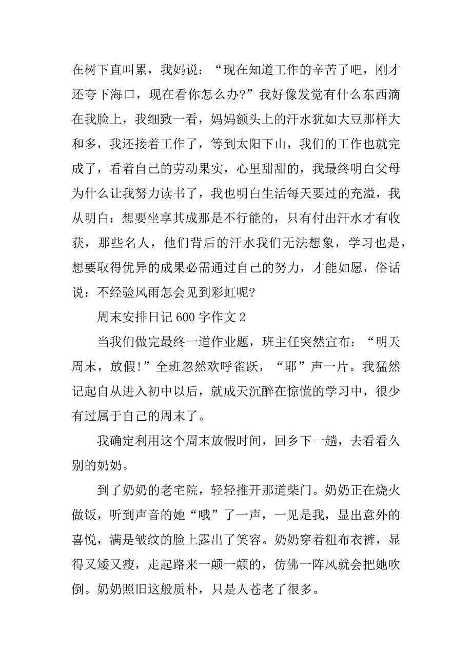 2024年周末计划日记600字作文_第2页