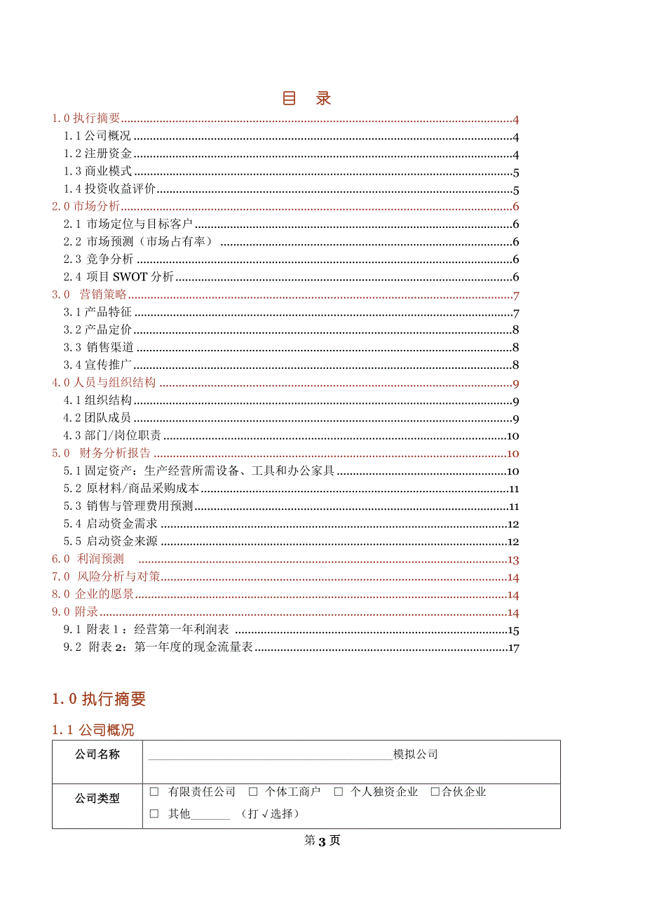 详细的企划书模板.doc_第3页