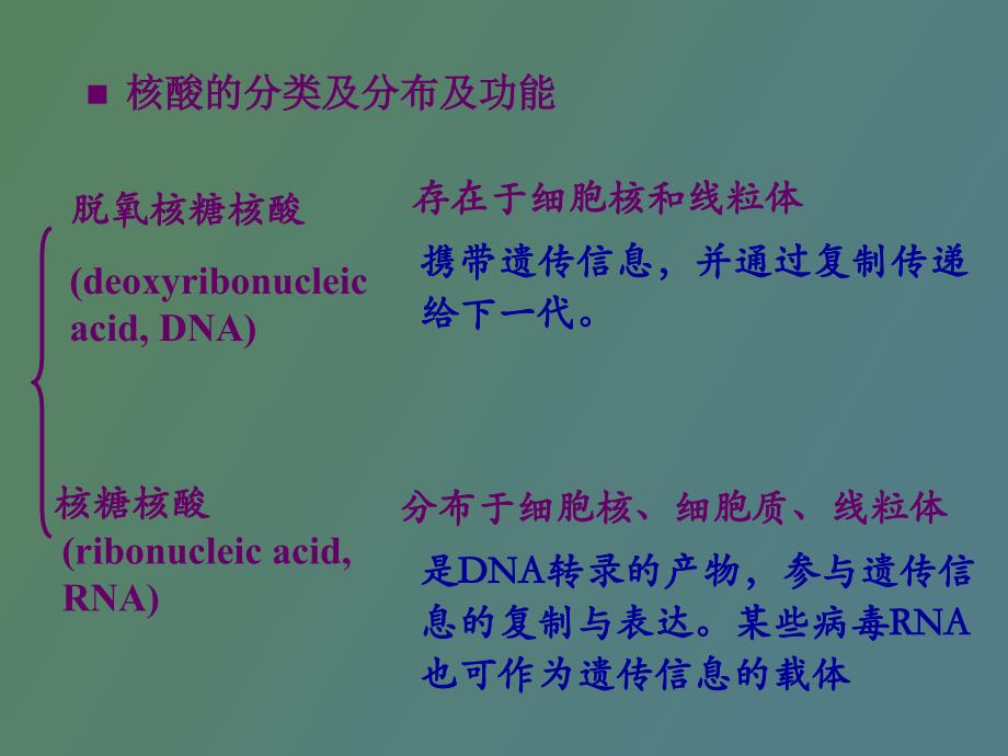 生物化学核酸的结构与功能_第3页