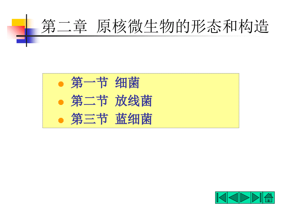 原核微生物课件_第1页