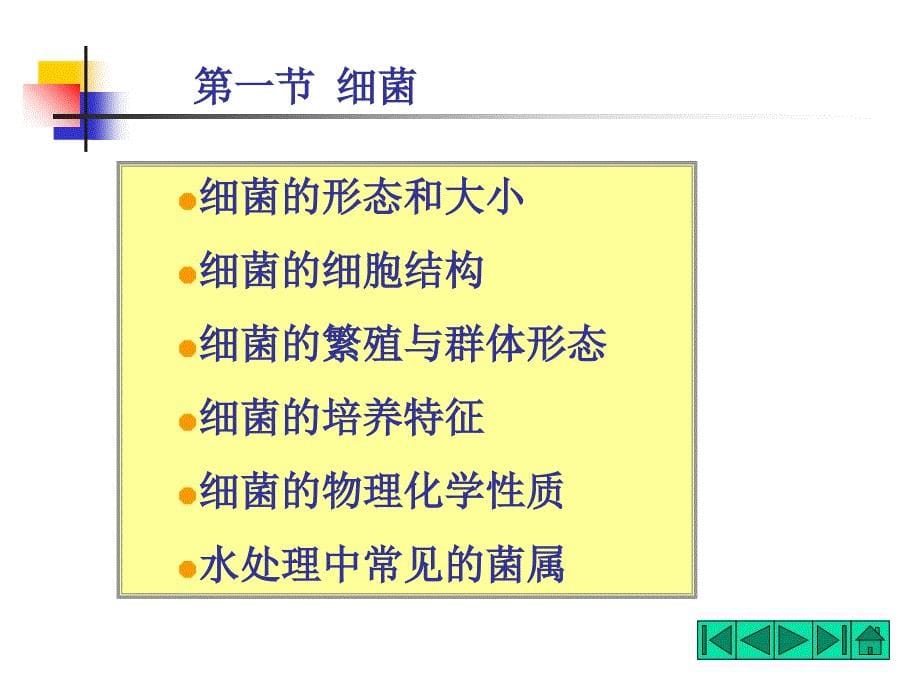 原核微生物课件_第5页