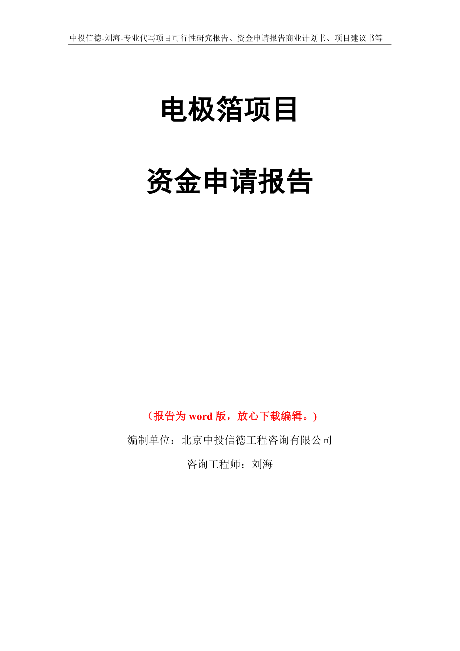 电极箔项目资金申请报告写作模板代写_第1页