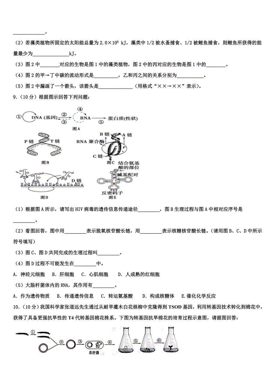 山东省邹平一中2022学年生物高二第二学期期末教学质量检测模拟试题(含解析).doc_第3页