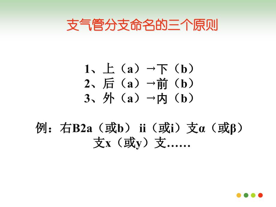 支气管命名PPT_第4页