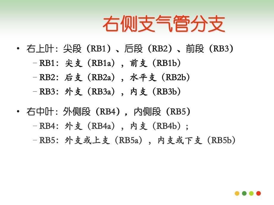 支气管命名PPT_第5页