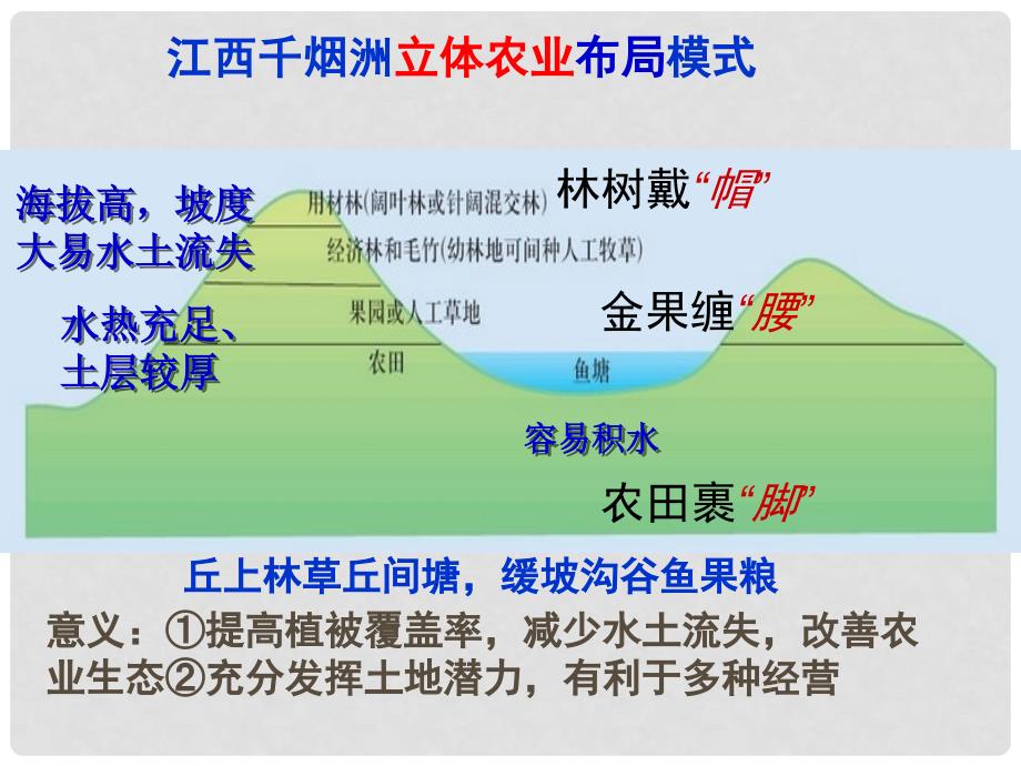 四川省大英县育才中学高考地理一轮复习 南方地区课件2_第4页