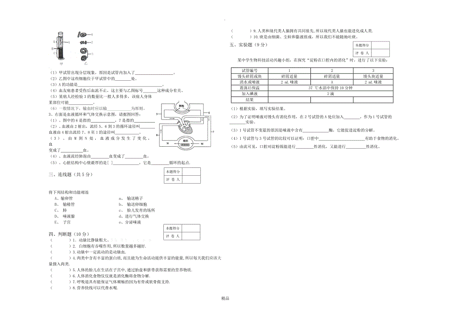 七年级下册生物期末试卷及答案_第2页