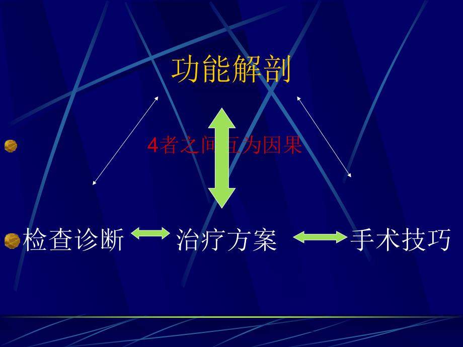 手外科功能解剖ppt课件备课讲稿_第2页