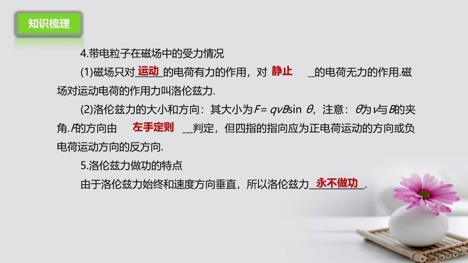 高考物理二轮专题突破专题六电场和磁场1电场与磁场的理解课件_第5页