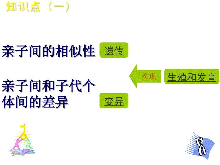 21基因控制生物的性状_第5页