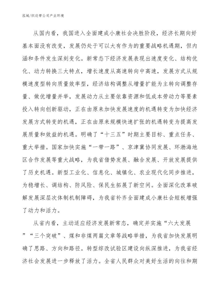 织边带公司产业环境_第5页