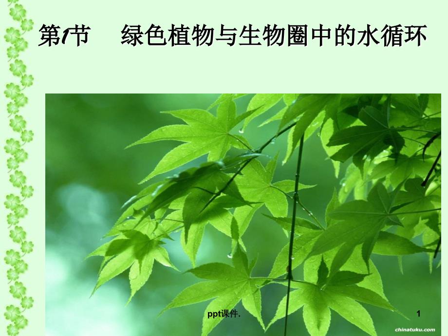 八年级生物绿色植物与生物圈中的水循环ppt课件_第1页