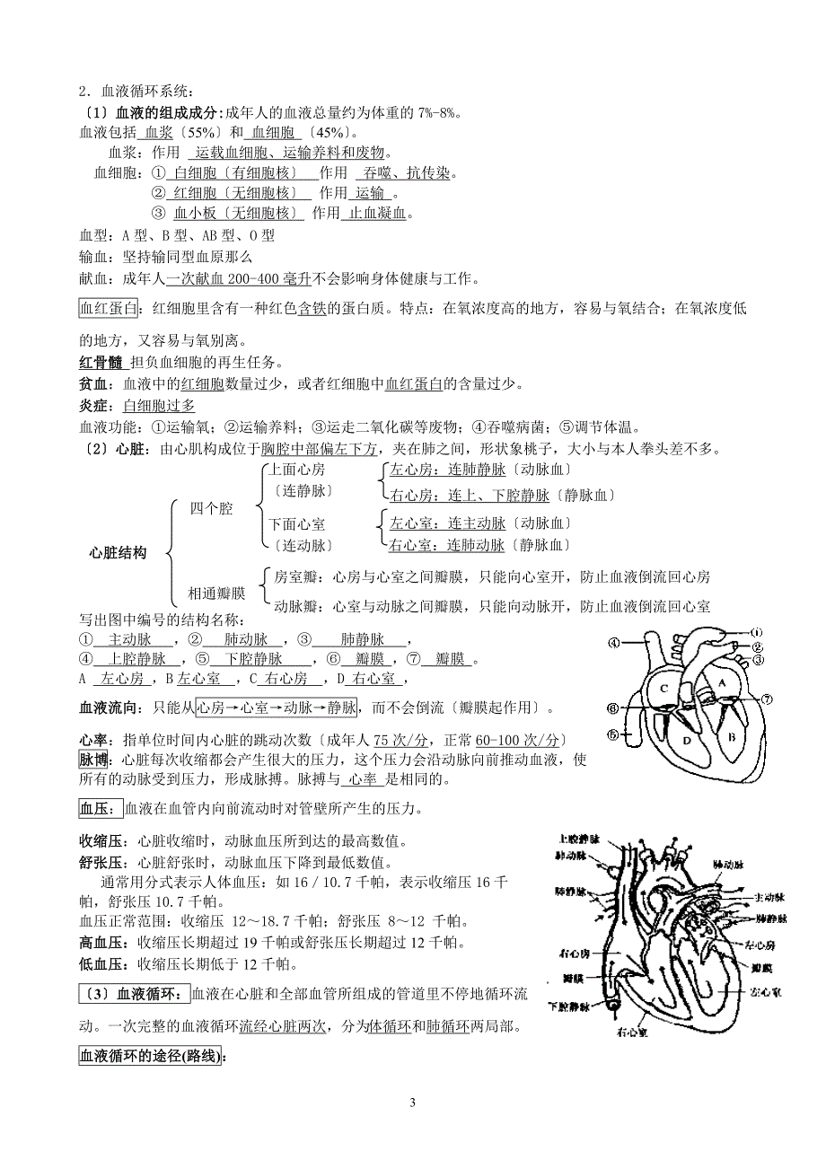 第四章代谢与平衡基础知识要点_第3页