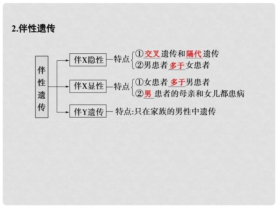 高考生物一轮总复习 专题11 伴性遗传与人类遗传病课件_第5页