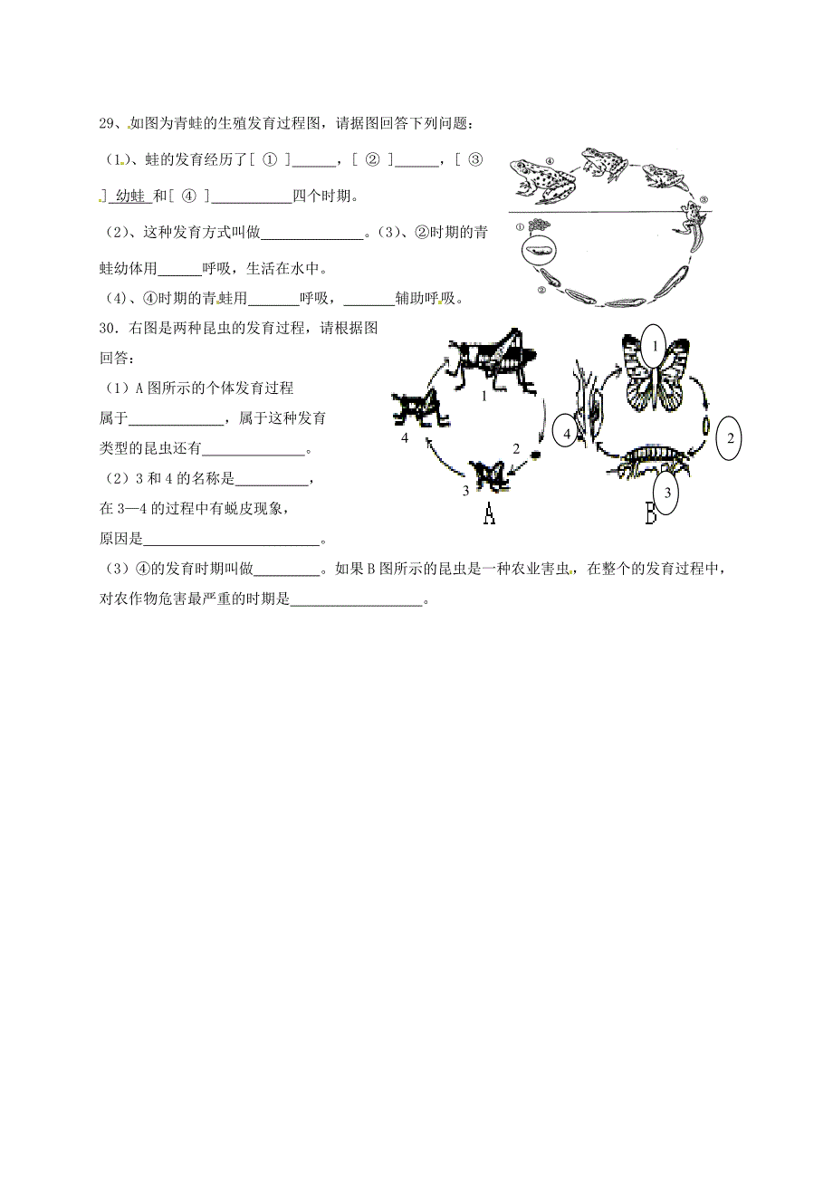 福建省宁化城东中学八年级生物下册 第七单元 第一章 生物的生殖和发育练习（无答案） 新人教版_第4页