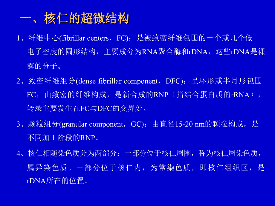 细胞核与染色体7_第3页