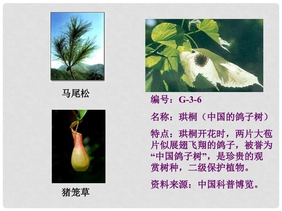 六年级科学上册 植物博览会课件 冀教版_第5页