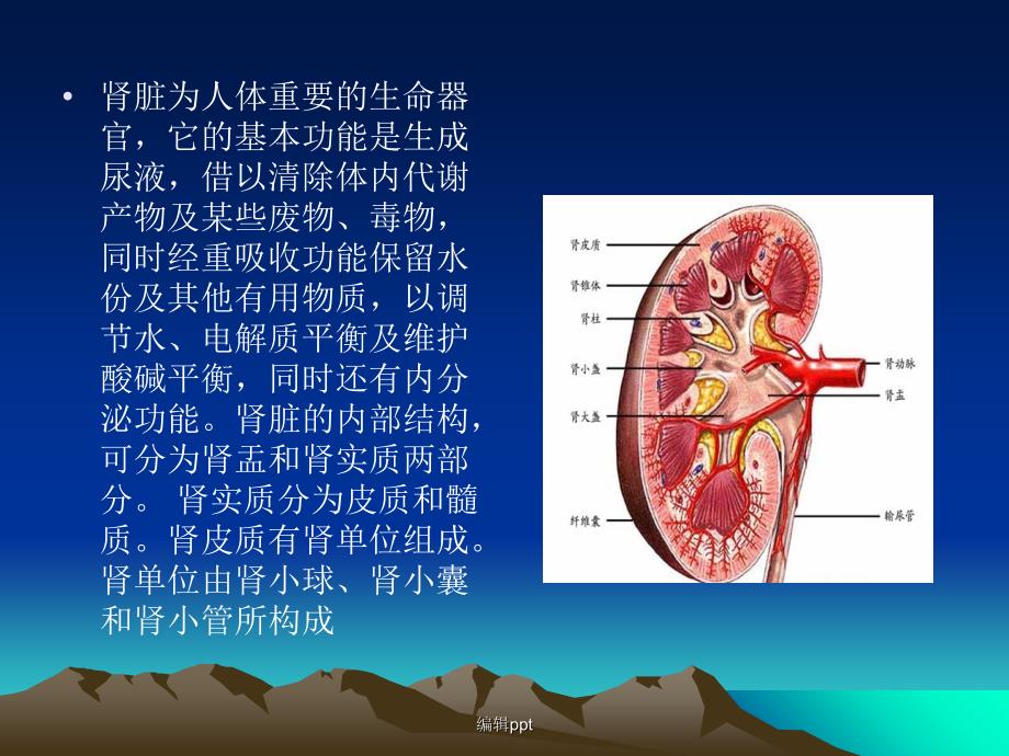 肾衰竭病人的护理1_第2页