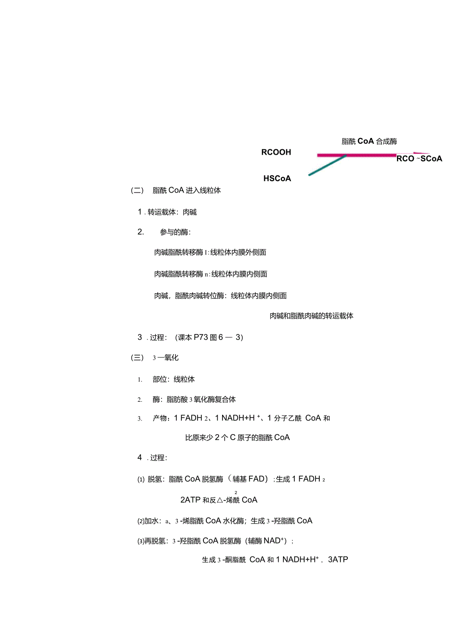 甘油三酯的中间代谢_第2页