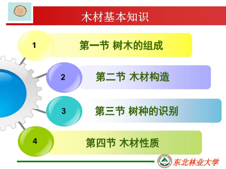 木材基本知识木材构造_第2页