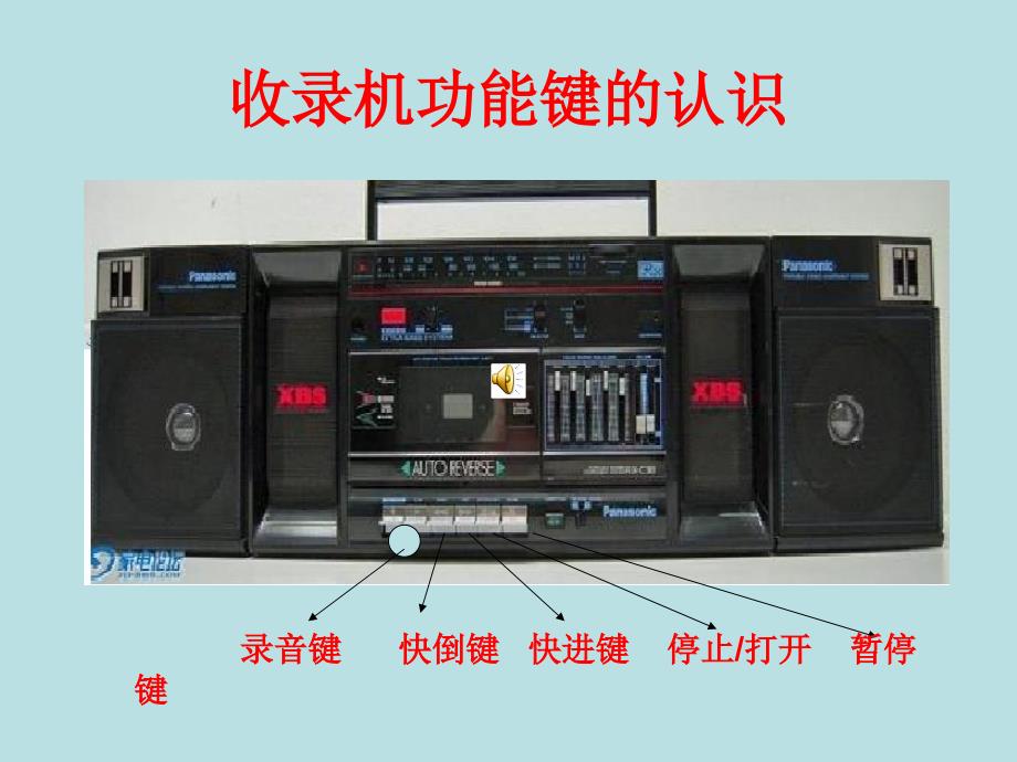 四年级收集信息的基本方_第4页