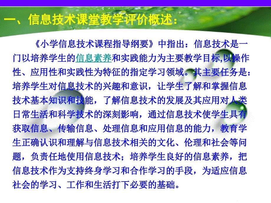 信息技术教学评价_第5页