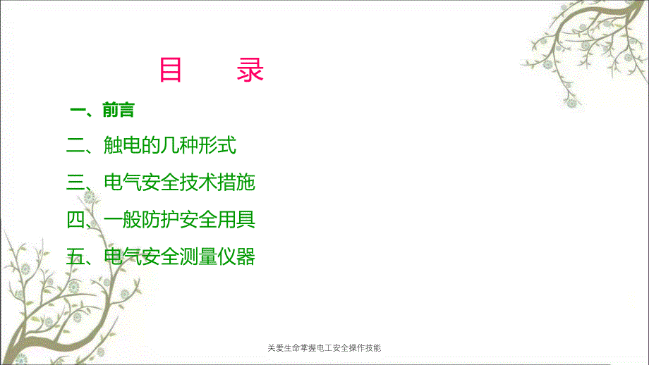 关爱生命掌握电工安全操作技能PPT课件_第2页