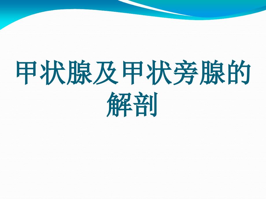 甲状腺及甲状旁腺解剖.ppt课件_第1页